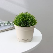 Pot for flowers with a mincate pallet, 700 ml, d = 12 cm, h = 9.4 cm, the color is lightweight