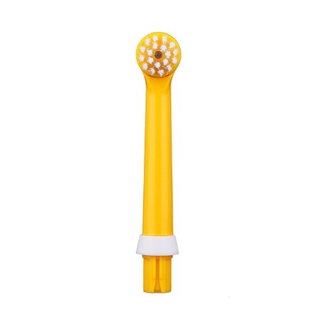 CS Medica RP-62-P for an electric toothbrush CS Medica Kids CS-462-P, 2pcs-2