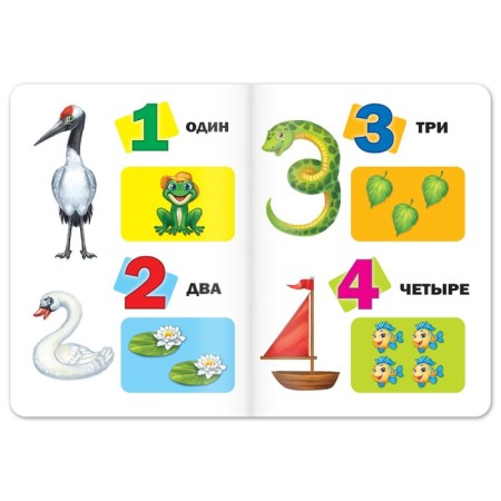 Books of cardboard development, set 4 pcs., 10 p.-4