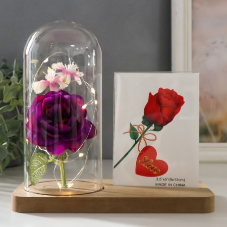 Photo frame 9x13 cm Light "Violet rose in a flask" from batteries 2xlr1130 9.8x19.5x18 cm