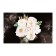 Lowed A6 Planning, with opened sheets, 50 sheets, gluing, soft cover, Business Deal