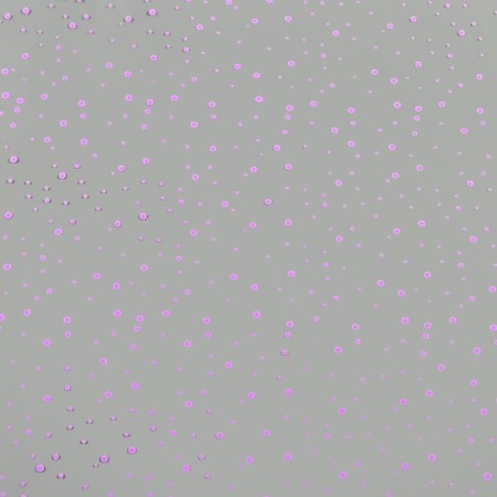 Flower Flowers "LOT" Lilac 0.7 x 8.2 m, 40 mkm-2