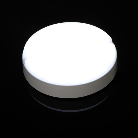 LED lamp 20 W, 1800 lm, IP65, 6500K, 220 V, circle-1