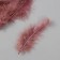 Feather decorative goose downy "coffee" set 40 pcs h = 10-15 cm