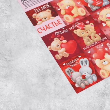 Stickers "You are a miracle", 11 × 15.5 cm-1