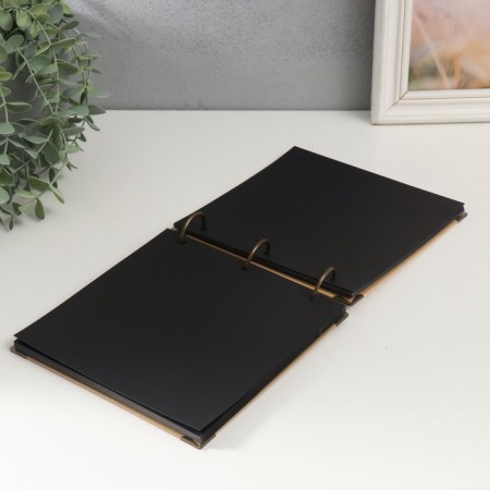 Photo album on rings 30 sheets "Fresh" Black sheets 18x18 cm-6