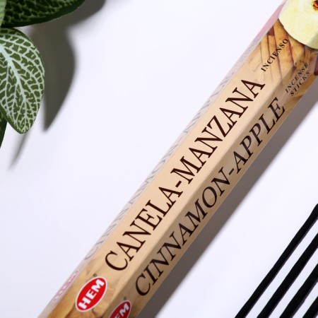 Incense hem "Cinnamon-Apple. Cinnamon-Yobloko", 20 wands in packaging, hexagon-1