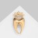 Tooth brooch with a crown, white color in gold