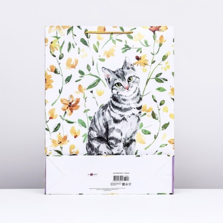 Gift package "Cat in colors", 33 x 42.5 x 10 cm-1