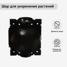 Ball for rooting plants, D = 5.5 cm, under a branch 0.5 cm, black, Greengo