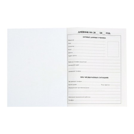 Diary for grades 5-11, "camouflage", solid cover 7BC, glossy lamination, 48 sheets-4