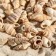 Set of shells 100 g