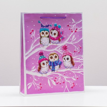 Gift Package "Tender Owls", 33 x 42.5 x 10 cm