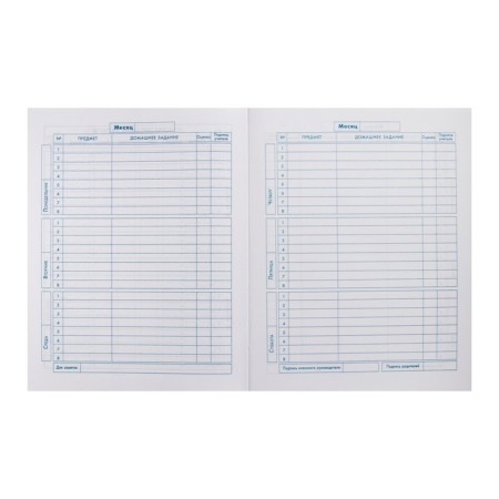 School diary for grades 1-11, "marmalade bear", a solid cover, print on holographic lamination, glossy lamination, an offset block 65g/m2, a universal cheat sheet, 48 sheets-6