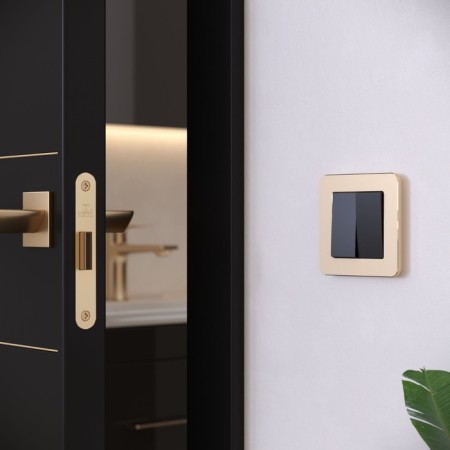 Frame W0012611, 1 Platinum socket, champagne-2