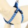 The set of stitched "paws", width 1 cm, leash 120 x 1 cm, og 23-35 cm, blue