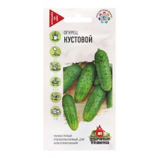 Cucumber seeds 