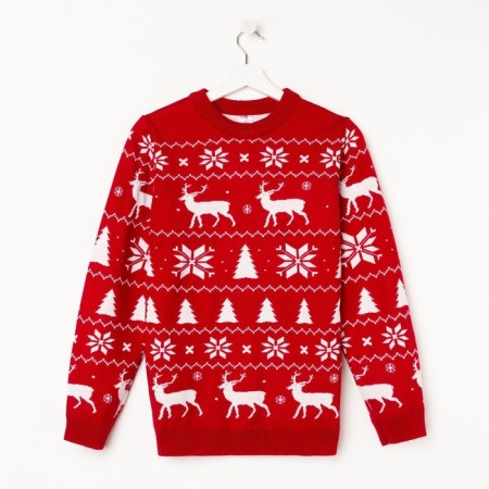 Knitted jumper KAFTAN "New Year" size 52-2