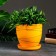 Flower pot "Magnolia" yellow, 2.4 liters