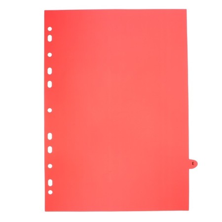 A4 sheets division (245 x 305 mm), color, alphabetical A-I, 20 sheets, "Devente. Pastel" polypropylene 140 microns, individual packaging-3