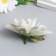 Budon on the leg for decoration "dahlia oozing light green" d = 7 cm