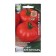 Seed Tomat "Altai Bogatyr", 0.1 g