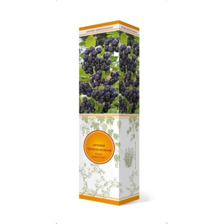 Aronia Chernolod "Coral", 1 pc, tube, spring 2025