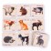 Pictures-Polovinka "Animals", 15 cards