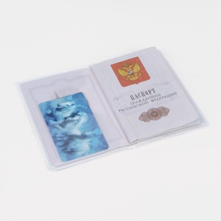 Cover for passport, black color-3
