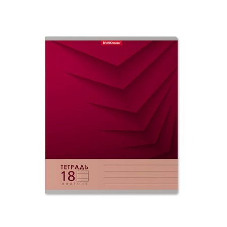A notebook of 18 sheets in the Erichkrause "Duotone Next", the cover coated cardboard, an offset block 100% whiteness, mix-2