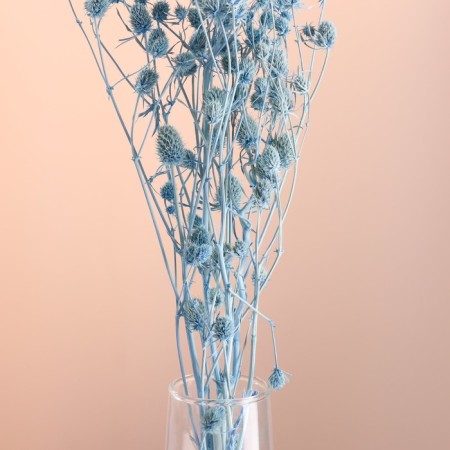 A set of dried flowers "Eringium", ban 5 pcs, length 50 (+/- 6 cm), blue-1