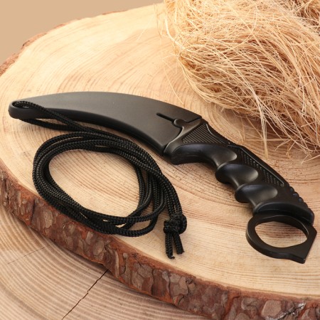 Knight Knorambit "Claw Eagle" 20cm, blade 90mm/2.5mm, black-2
