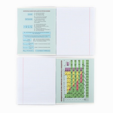Subject notebook A5, 48 liters on the paper clip "silhouette of chimia" Soft touch lamp, Uf lacquer-2