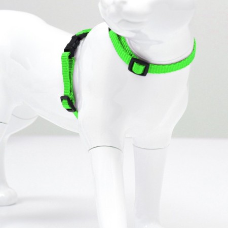 Kit for cats, width 1 cm, Osh 16.5-27 cm, fire 21-35 cm, leash 120 cm, green-1