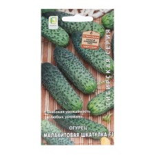 Seeds of cucumber 
