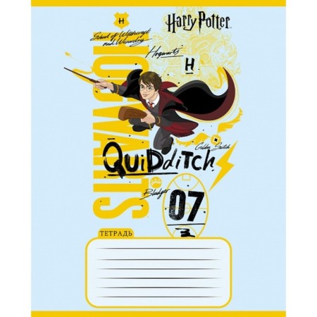 Notebook 18 sheets, in a cage, Harry Potter, cover coated cardboard, rounded corners, mix-2