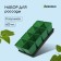 Set for seedlings: glasses of 600 ml (8 pcs), pan 36 × 18 cm, color mix, Greengo