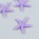 Decor for creativity Plastic "Violet Marine Star" Sugar 3.8x0.5x3.8 cm