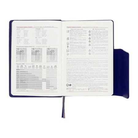 Dated 2025 diary, A5, 176 sheets of Escalada, a solid cover made of artificial leather, pancake embossing, lies, cream block 70 g/m2, blue-10