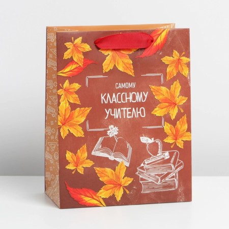 Package Gift Laminated Vertical, Packaging, “Class Teacher”, MS 18 x 23 x 10 cm-1