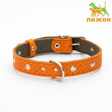 Combined dimensionless collar, leather/tarpaulin, 60 x 3 cm, Osh 30-57 cm, red/green