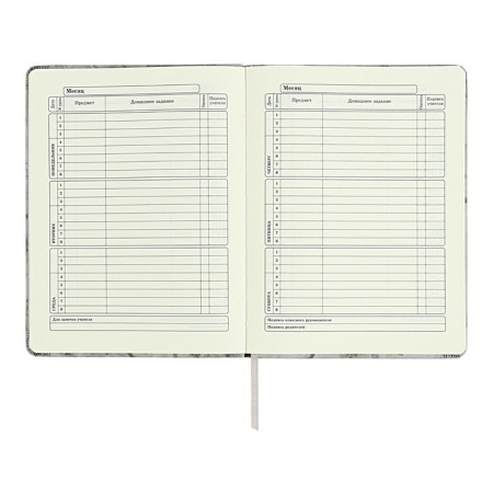 Diary 1-11 grade "Gray marble", artificial leather, a solid cover with embossing, with liesa, 48 sheets-7