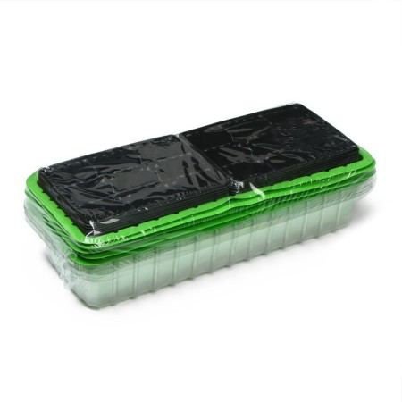 Mini-Pirate for seedlings, 40 × 16 × 13 cm, 2 inserts, 18 cells, Greengo-5