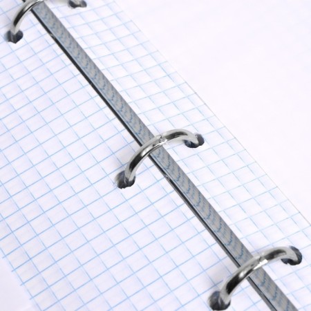 Notebook on rings, 160 sheets in the “Magic Fox” cage, solid cover, glossy lamination, with a change of block-7