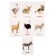Developing cards "Pets"