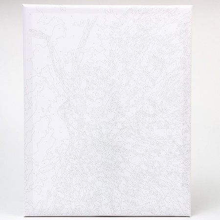 Picture on numbers on a canvas with a subframe "Ballet", 40 x 50 cm-1