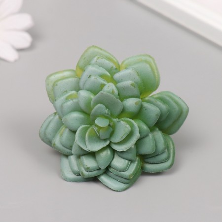 Artificial succulent for creating Florarium Molodilo 6x7.5x7.5 cm-3