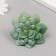 Artificial succulent for creating Florarium Molodilo 6x7.5x7.5 cm