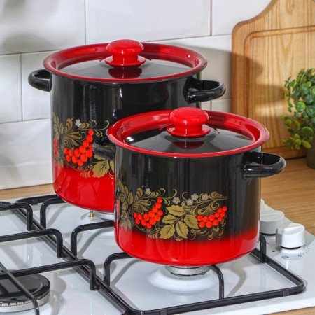 Set of pots "Ryabinka", 2 items: 3.5 l, 5.5 l, enameled covers, induction-3