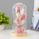 Nightlight "Pink Flowers" LED from batteries 3HAAA 11x11x22 cm Risalux
